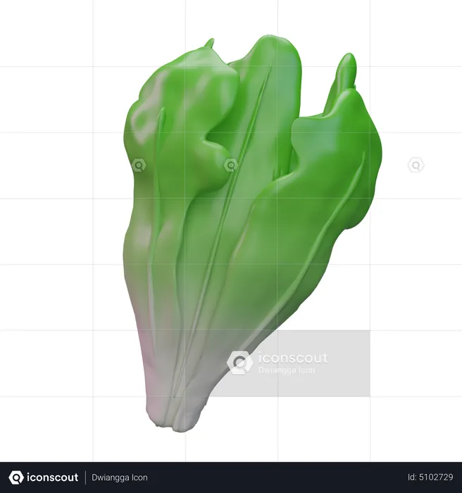 Lechuga  3D Icon