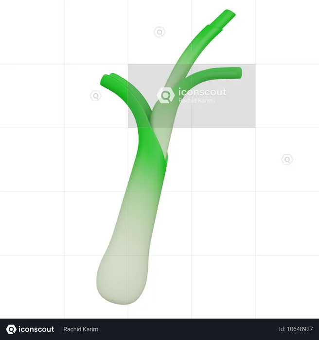 LEEK  3D Icon