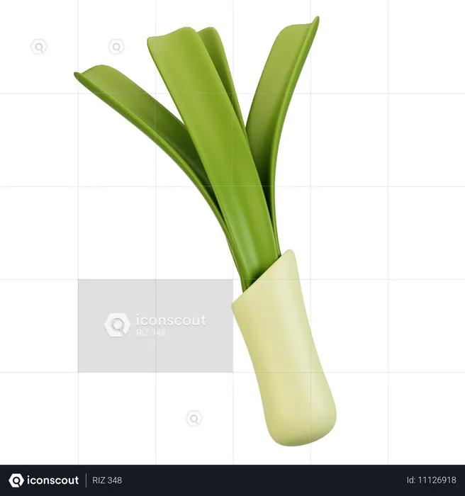 Leek  3D Icon