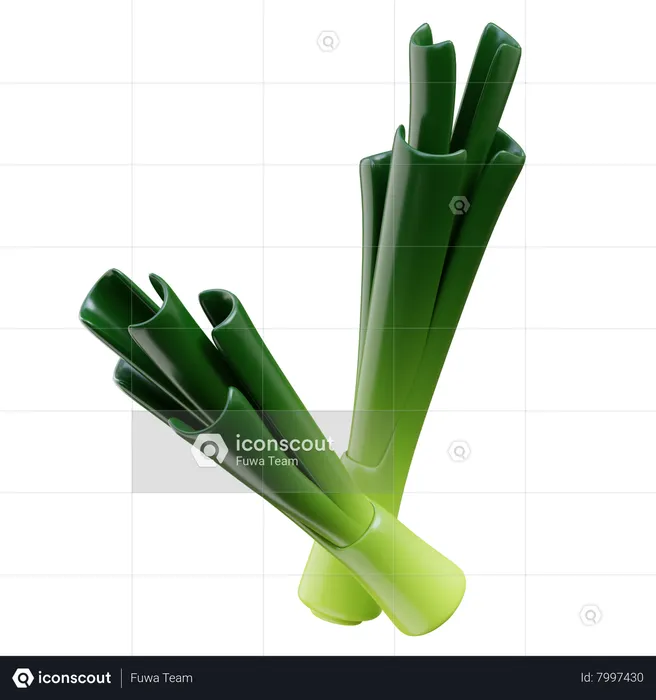 Leek  3D Icon