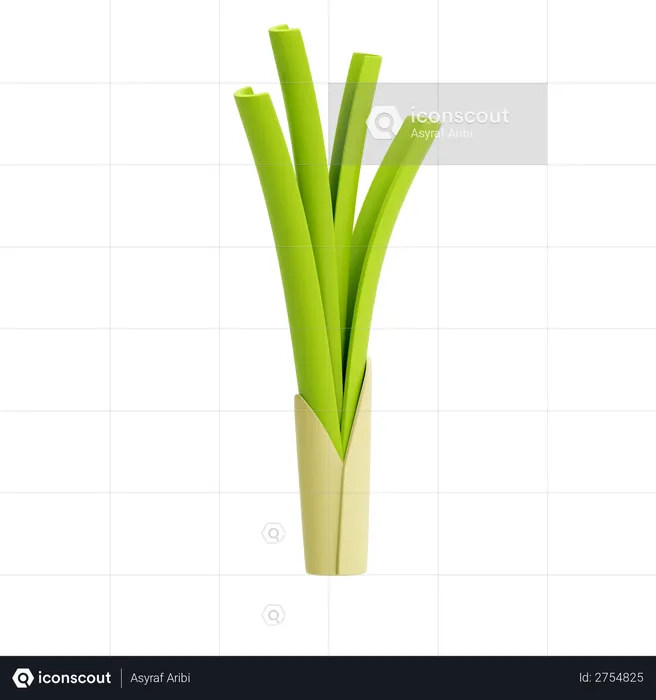 Leek  3D Illustration