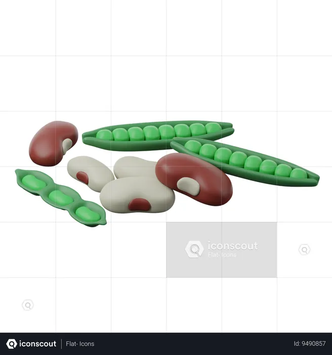 Legumes  3D Icon
