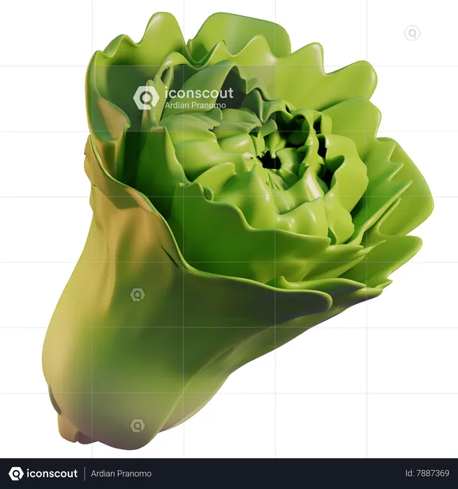 Lettuce  3D Icon