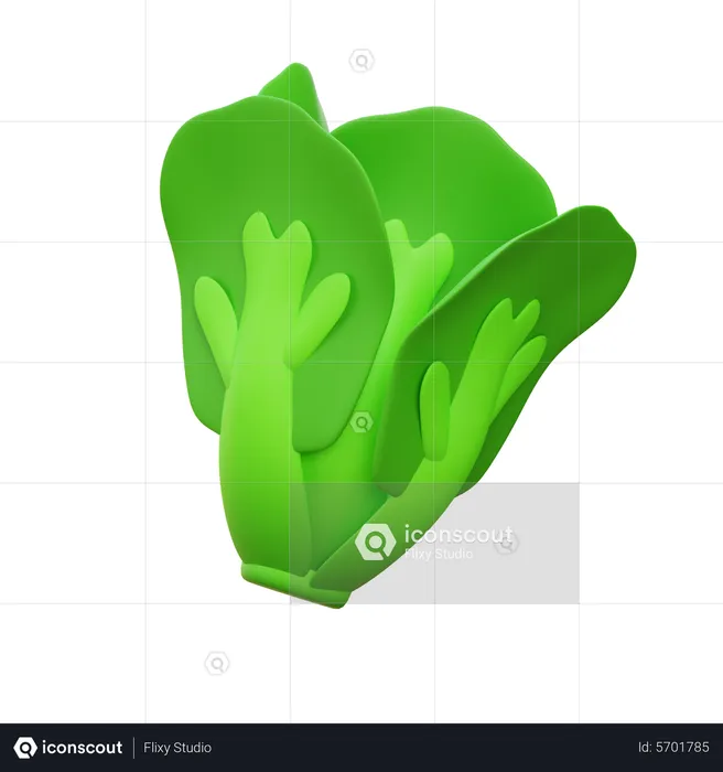 Lettuce  3D Icon