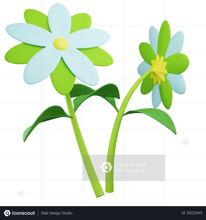 Lilly Flower  3D Icon