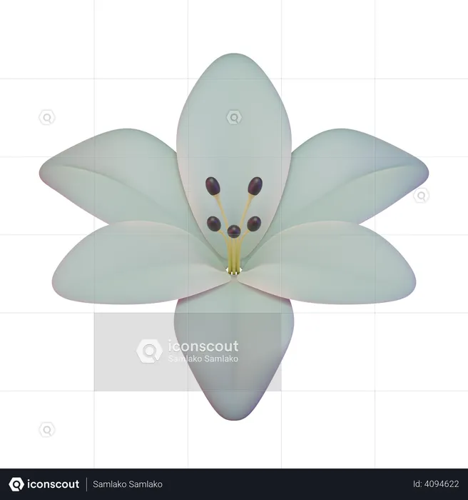 Lily  3D Icon