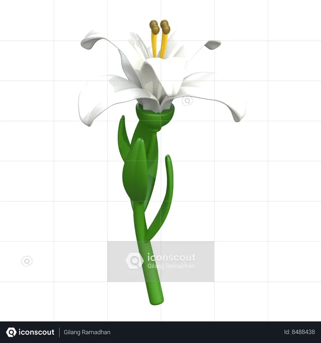 Lily Flower  3D Icon