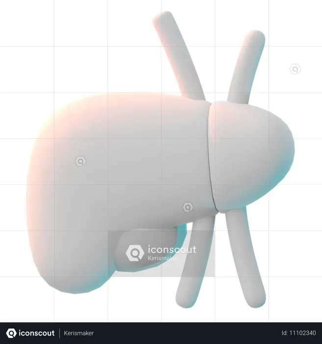 Liver  3D Icon