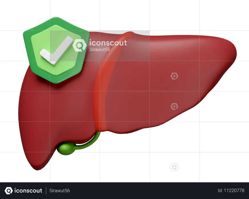 Liver With Shield  3D Icon