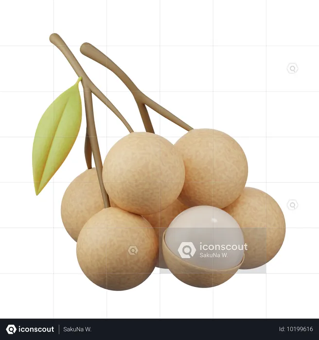 Longan 3d icon  3D Icon