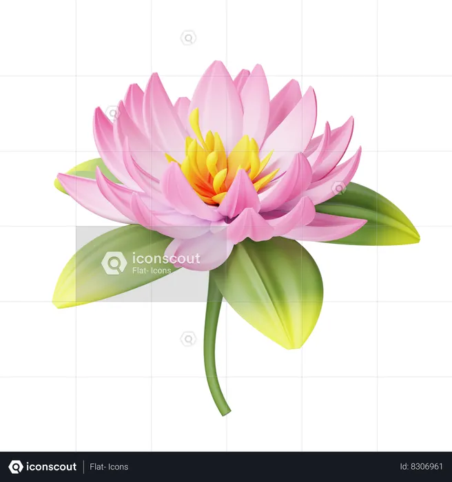 Lotus  3D Icon