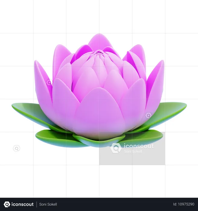 Lotus  3D Icon