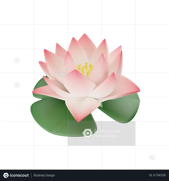lotus flower animation