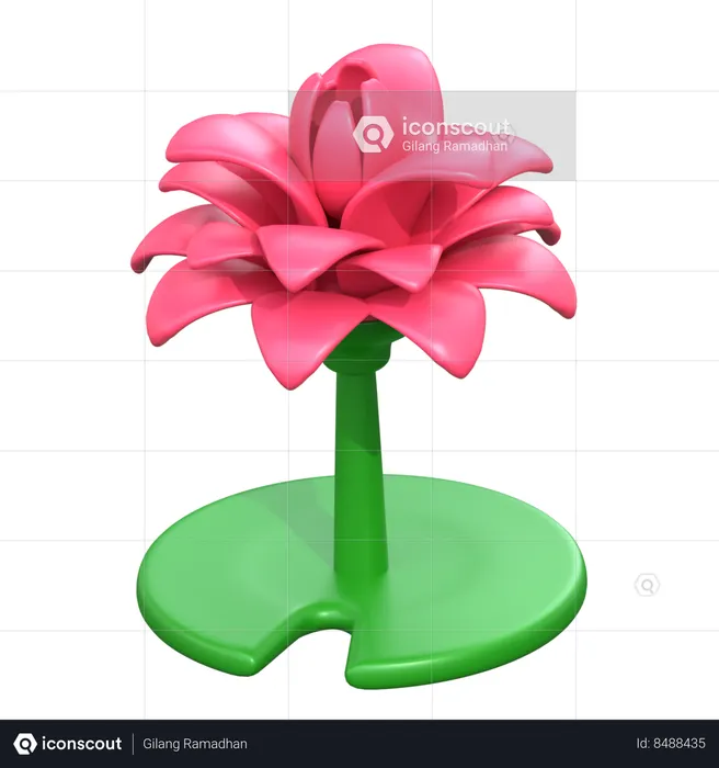 Lotus Flower  3D Icon
