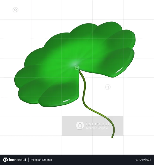 蓮の葉  3D Icon