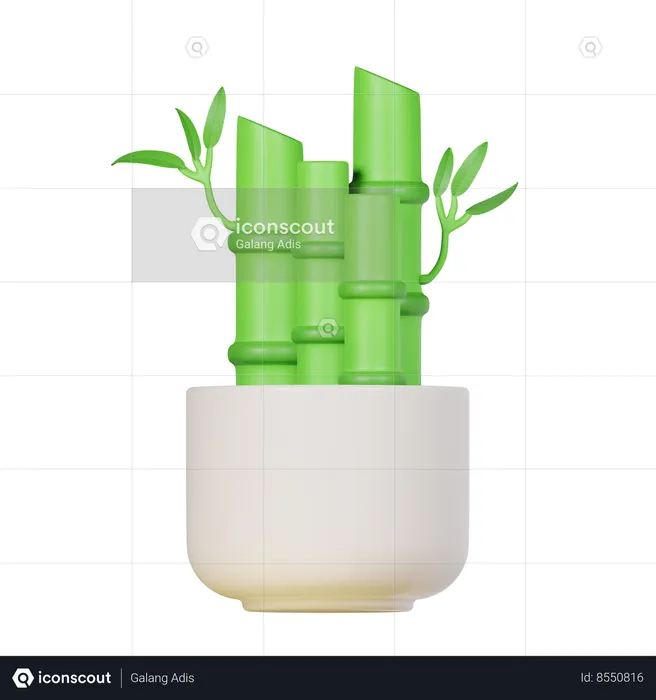 Lucky Bamboo Plant  3D Icon