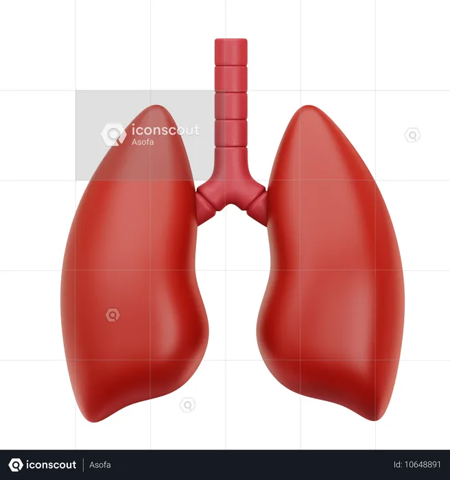 Lung  3D Icon