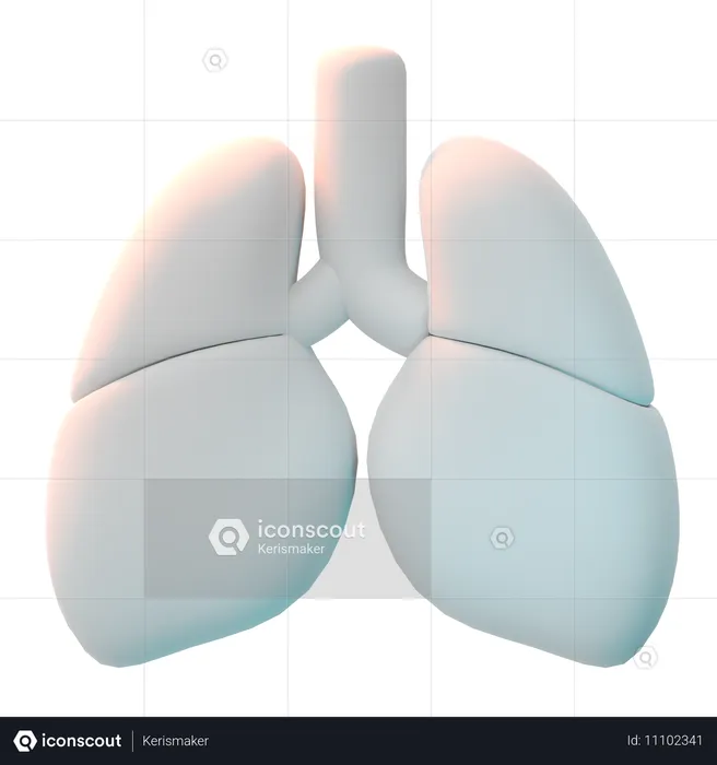 Lungs  3D Icon