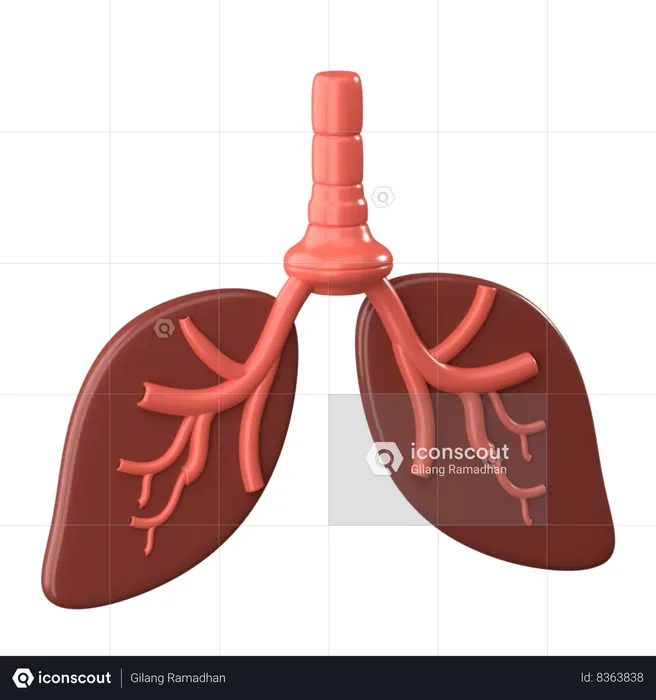 Lungs  3D Icon