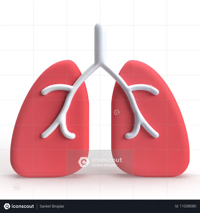 Lungs  3D Icon