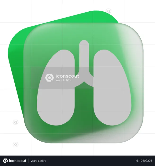 Lungs  3D Icon