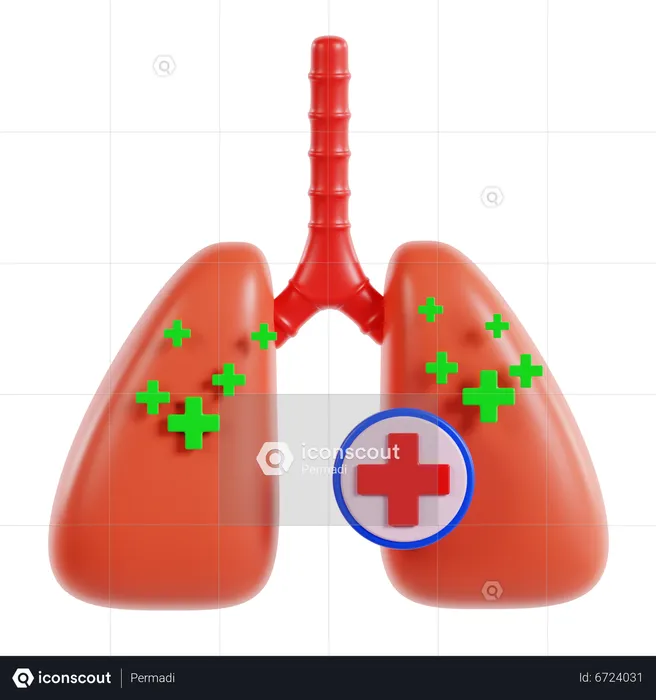 Lungs  3D Icon