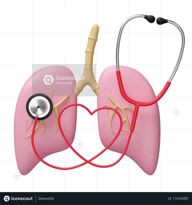 Lungs Checkup  3D Icon