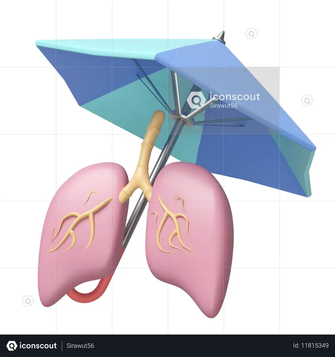 Lungs Insurance  3D Icon