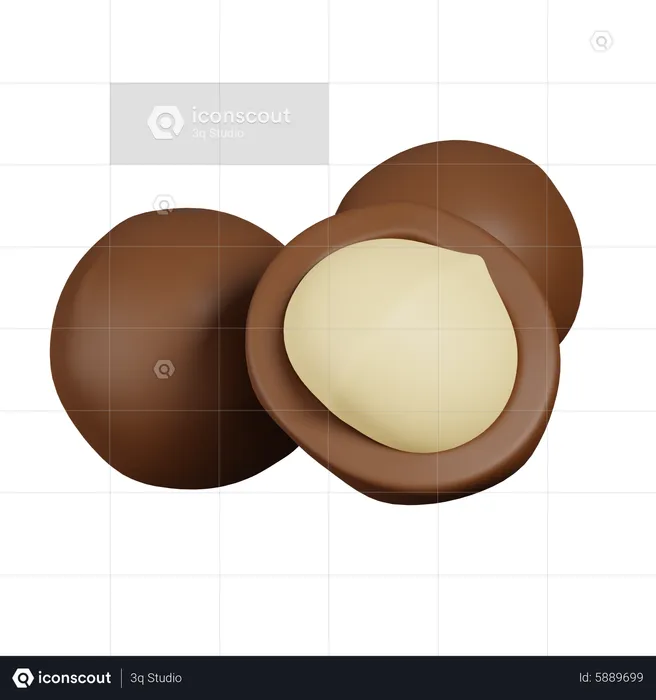 Macadamia  3D Icon