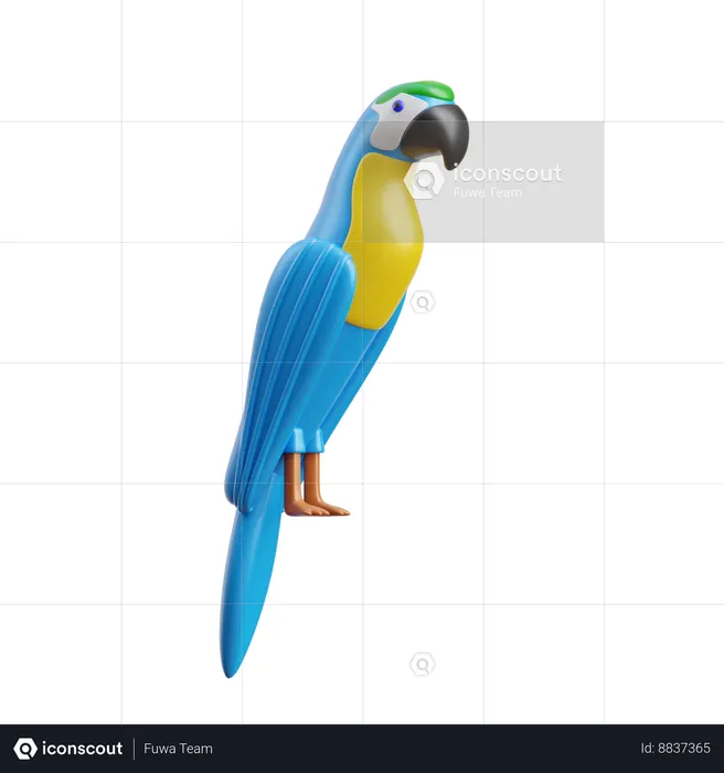 Macaw  3D Icon