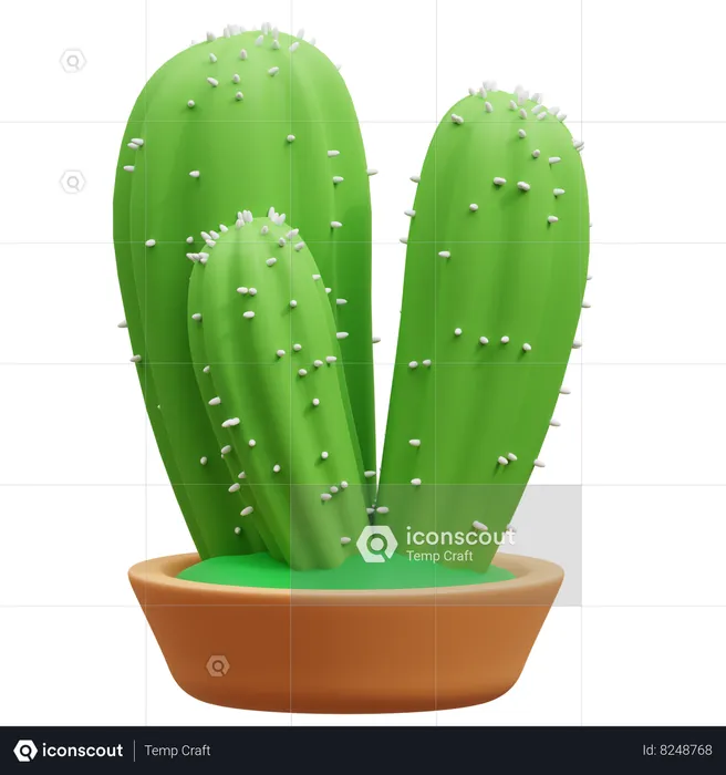 Maceta de cactus  3D Icon