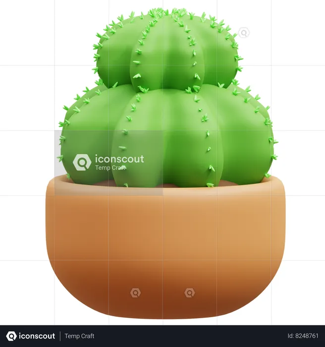 Maceta de cactus  3D Icon