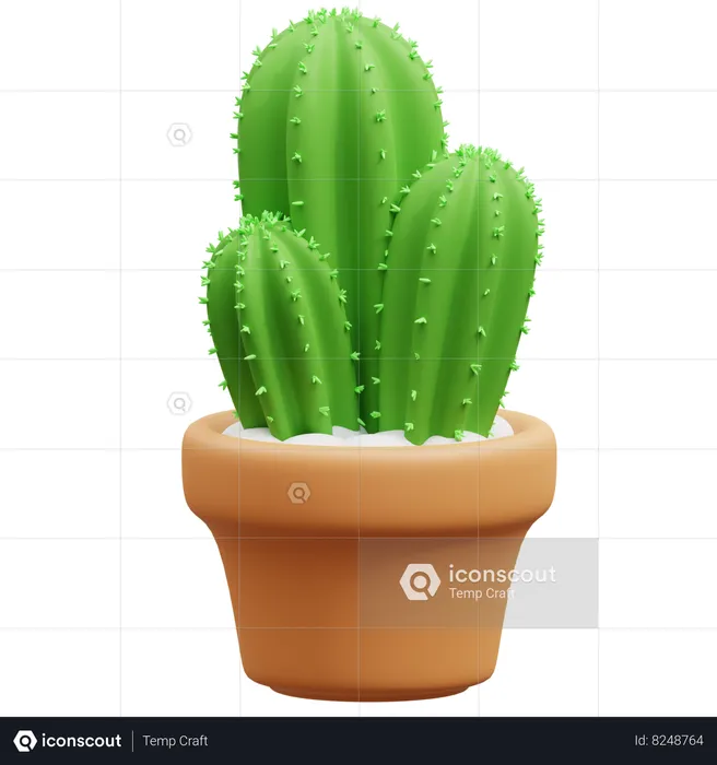 Maceta de cactus  3D Icon