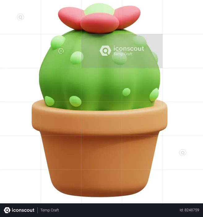 Maceta de cactus  3D Icon