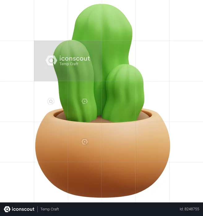 Maceta de cactus  3D Icon