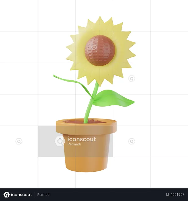 Maceta de girasol  3D Illustration