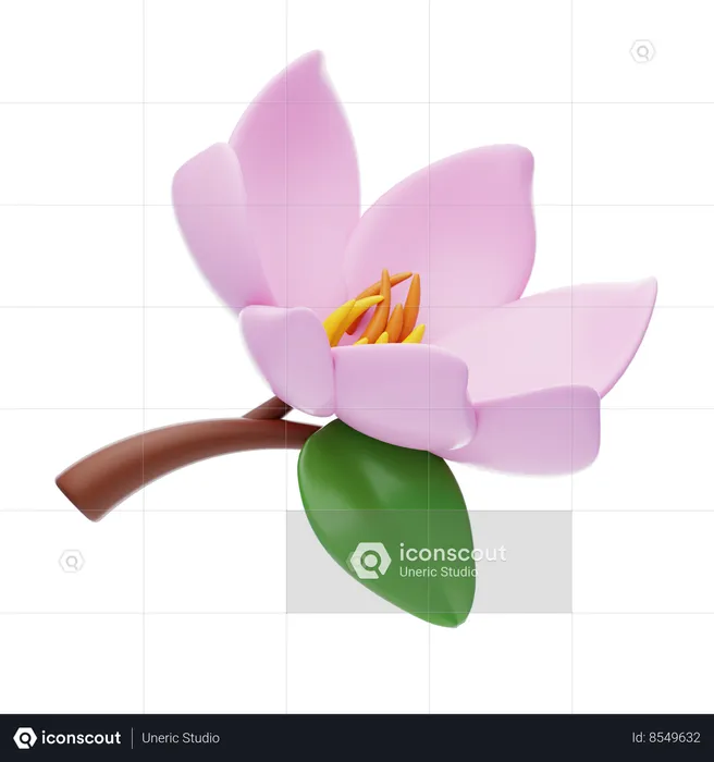 Magnolia  3D Icon