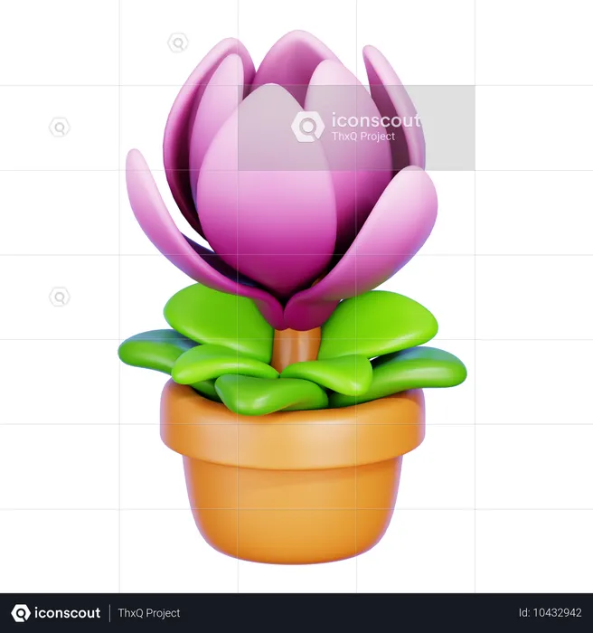 Magnolia  3D Icon