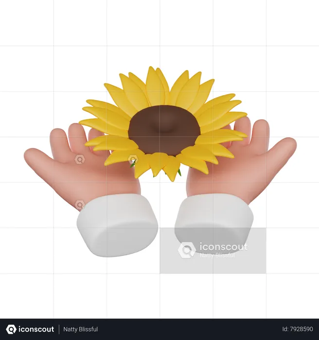 Mano sosteniendo girasol  3D Icon