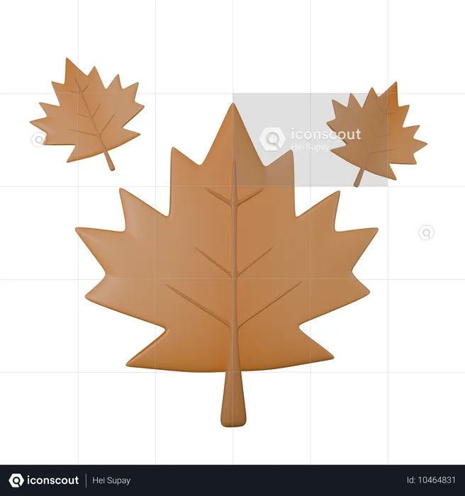 Maple Leaf  3D Icon