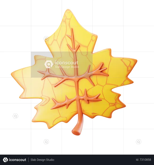 Maple Leaf  3D Icon
