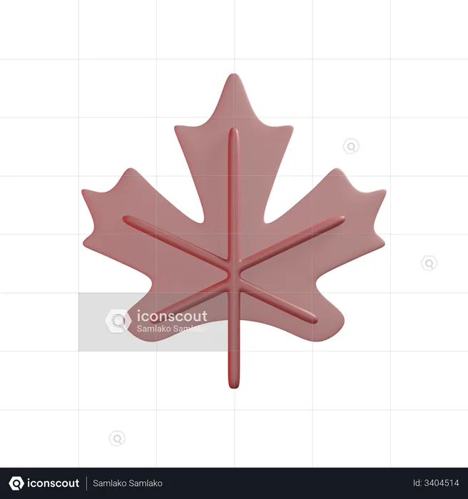 Maple Leaf  3D Illustration