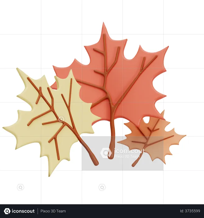 Maple Leaf  3D Illustration