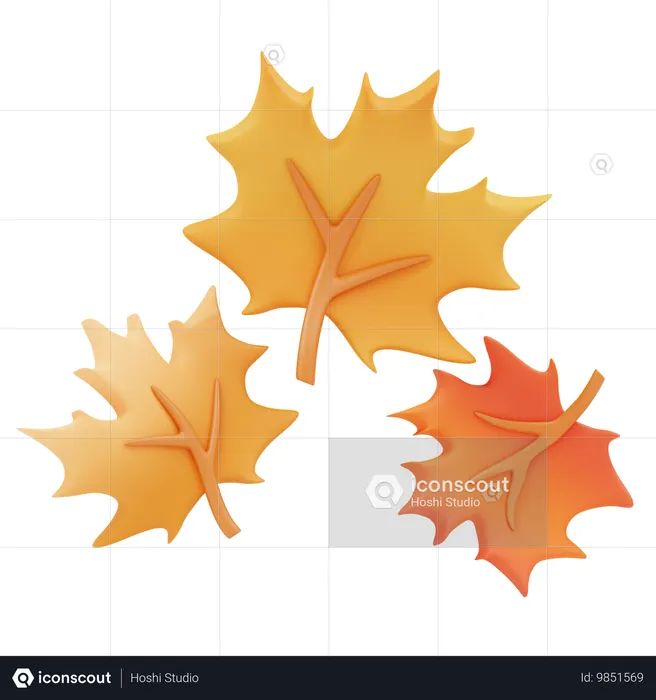 Maple leaves  3D Icon