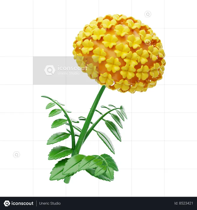 Marigold  3D Icon