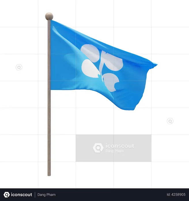 Mât de drapeau de l'OPEP Flag 3D Flag