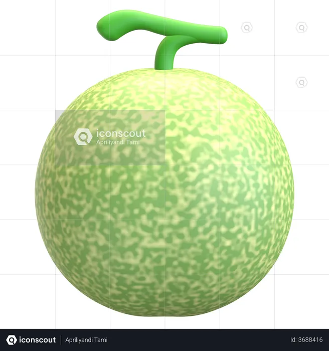 Melon  3D Illustration