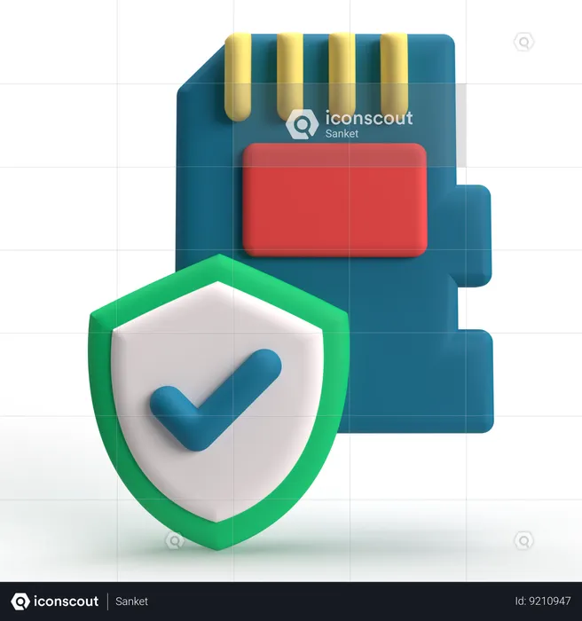 Memory Card Security  3D Icon