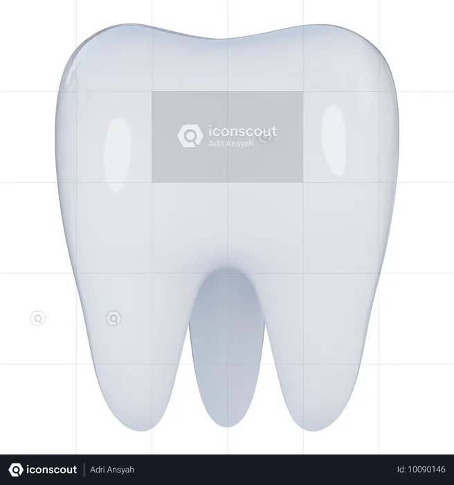 Molar  3D Icon