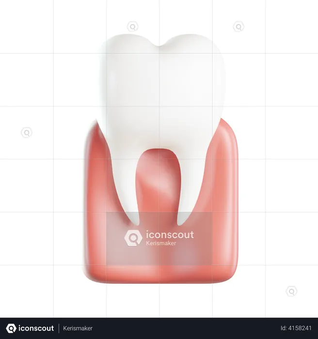 Molar  3D Icon